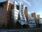 Frank Gehry 3